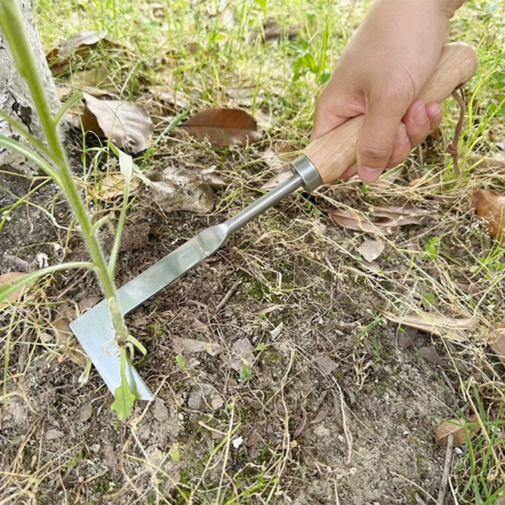 Stainless Steel Gap Weeding To - Gardening Tools Used recension och pris