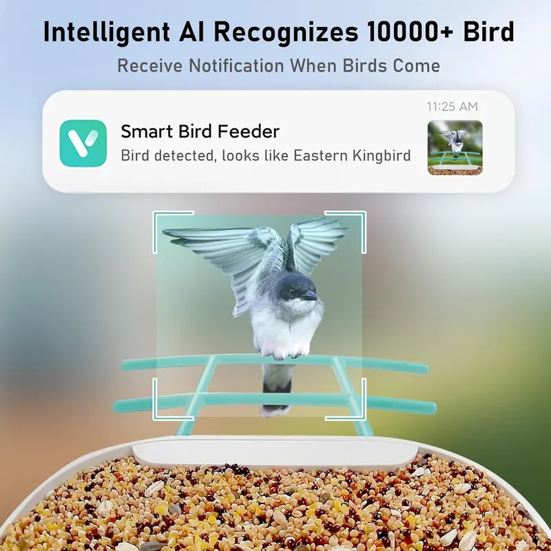 Smart Bird Feeder Camera with  - Gardening Tools Video recension och pris