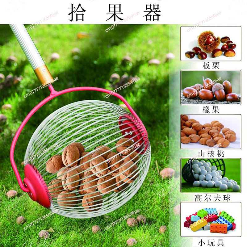Amazon, Fruit Collector, Nut C - Gardening Tools Amazon recension och pris