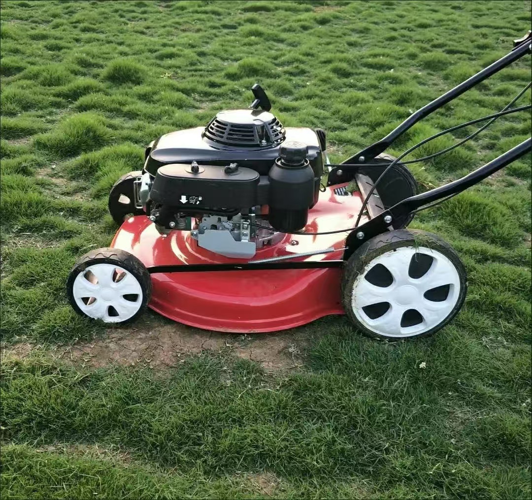 Best Quality Petrol Industrial - Gardening Tools Best Quality recension och pris