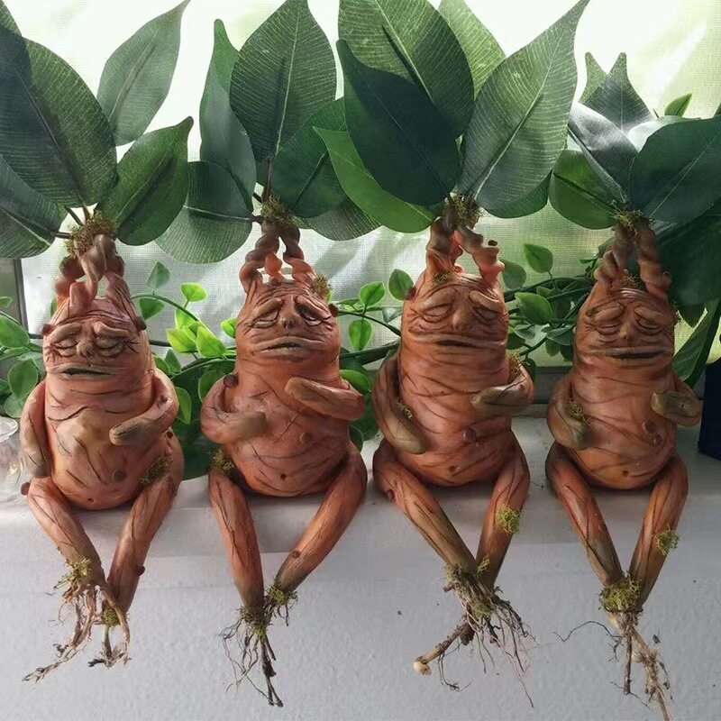 Mandrake Mandrake Resin Orname - Gardening Tools Amazon recension och pris