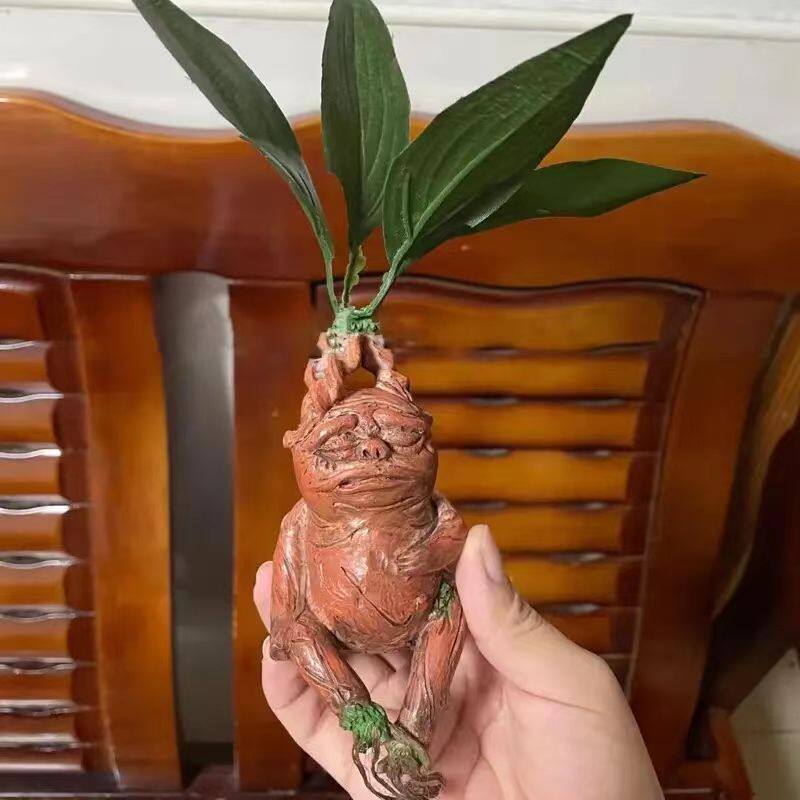 Mandrake Mandrake Resin Orname - Gardening Tools Amazon recension och pris